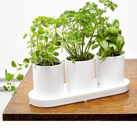 White Ceramic 11in x 3.75in x 4in Herb Plant Planter,multipurpose use - Picture 1 of 5